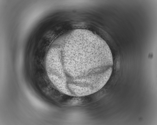 X0000113200764200910011256