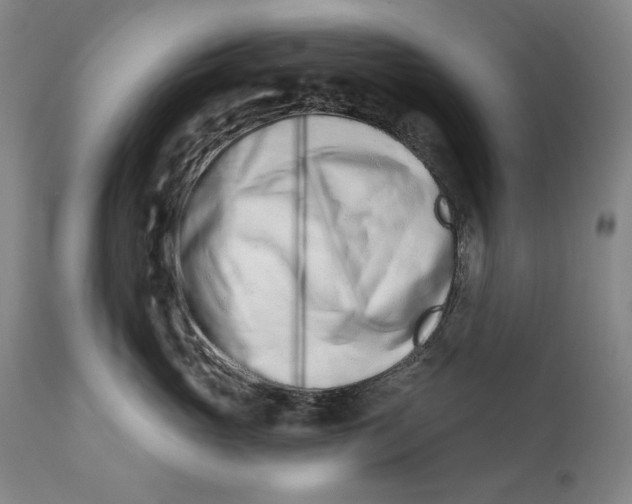 X0000113200765200910011256