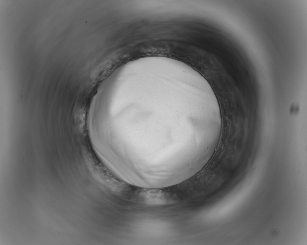 X0000113200767200910011256