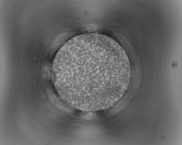 X0000113200768200910011256