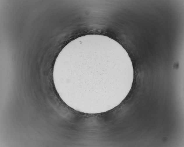 X0000113200769200910011255