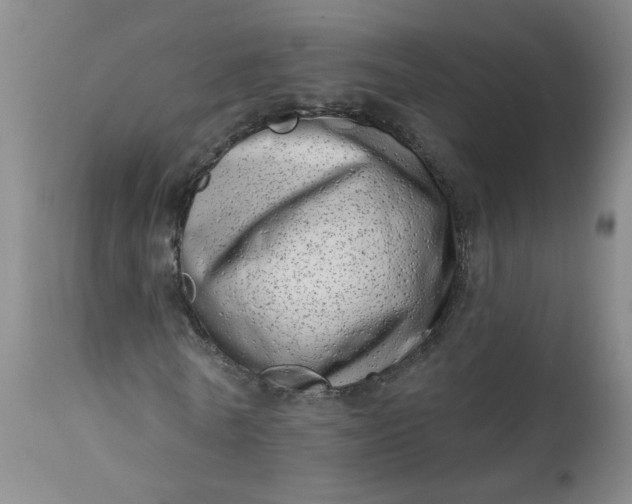 X0000113200770200910011255