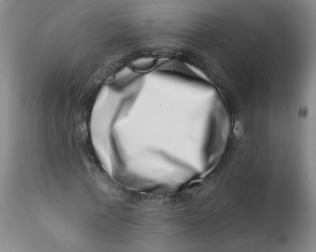 X0000113200771200910011255