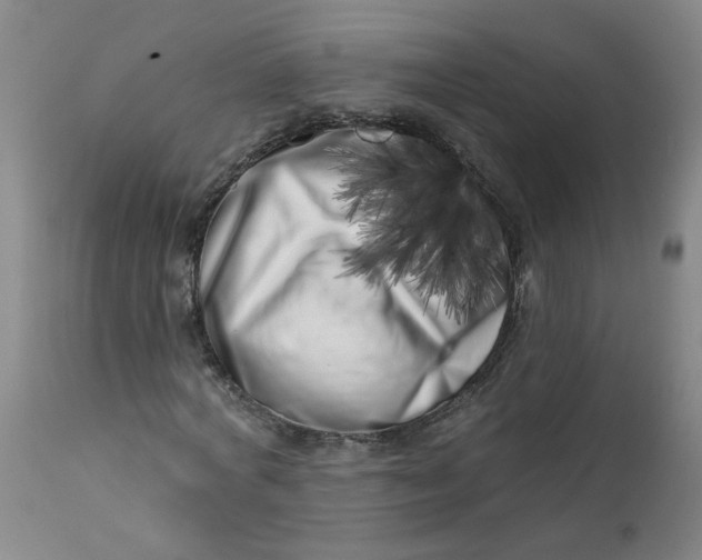 X0000113200772200910011255