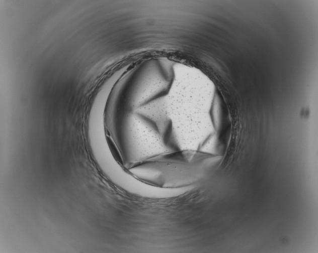 X0000113200773200910011255