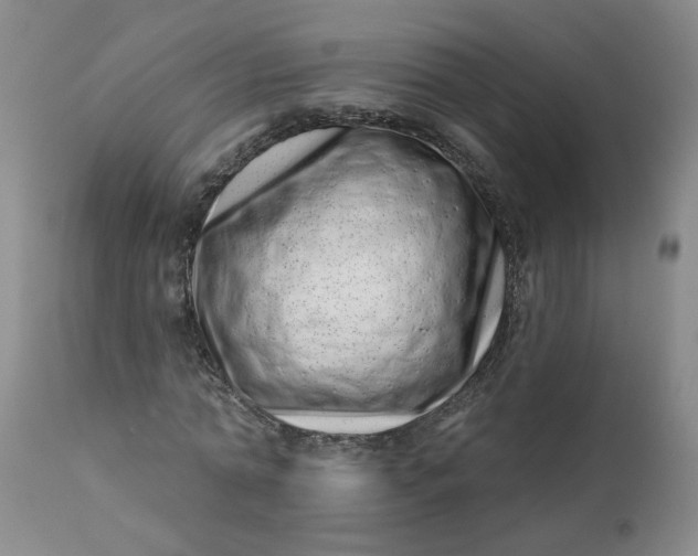 X0000113200774200910011255