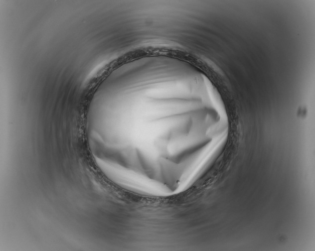 X0000113200775200910011255