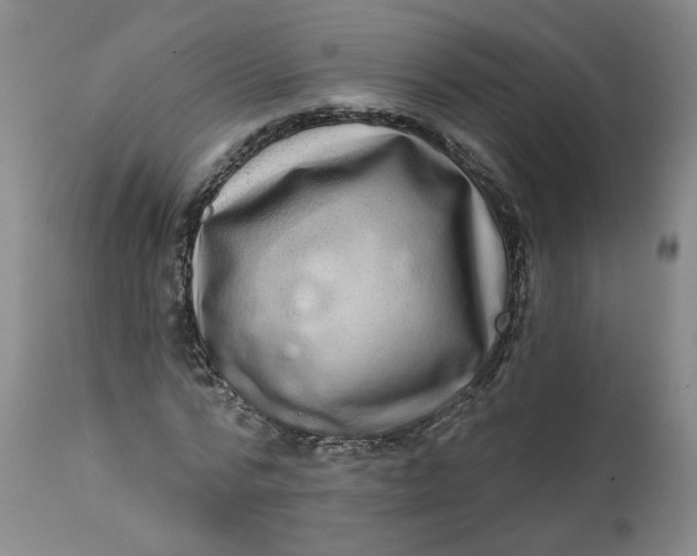 X0000113200776200910011255