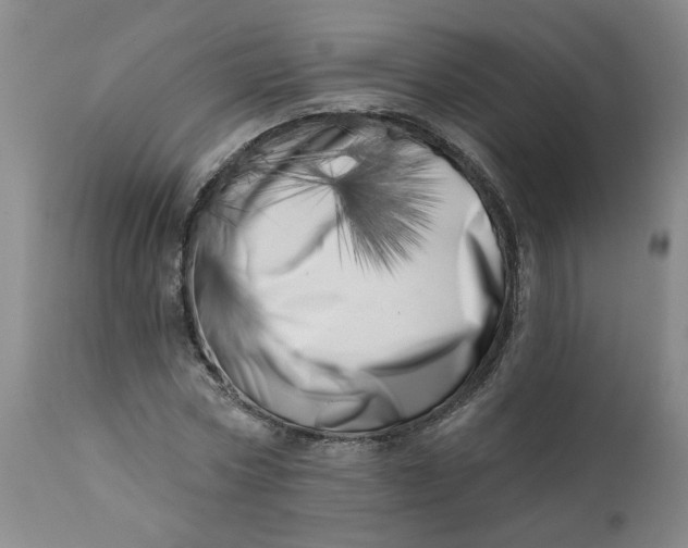 X0000113200778200910011255