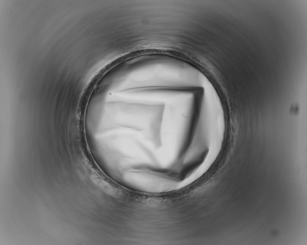 X0000113200779200910011255