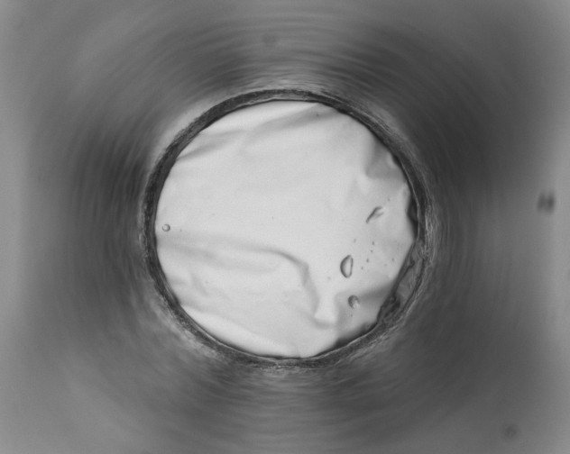 X0000113200780200910011255