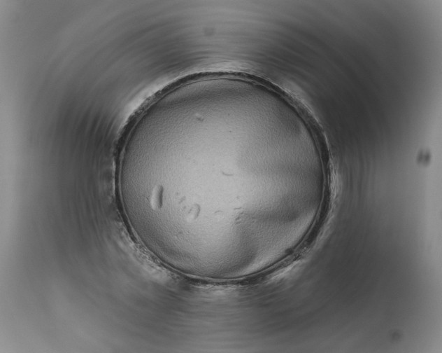 X0000113200781200910011255