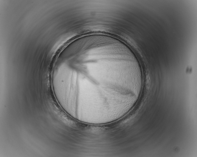 X0000113200782200910011255