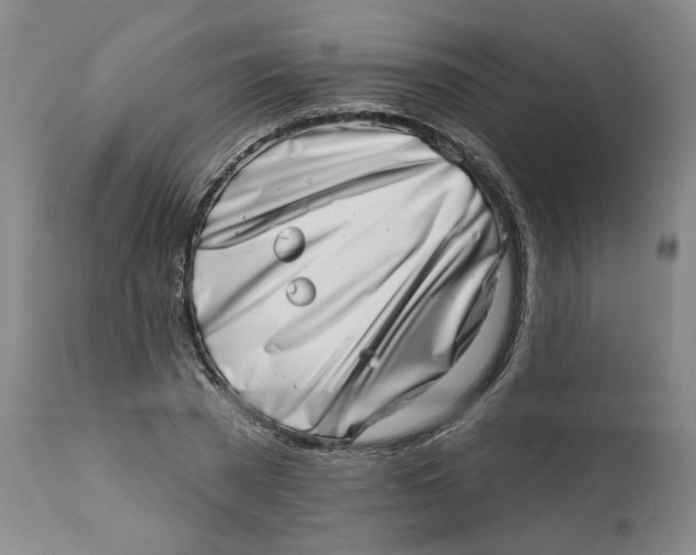 X0000113200785200910011255