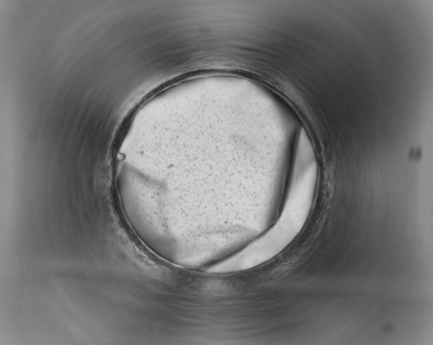 X0000113200787200910011254