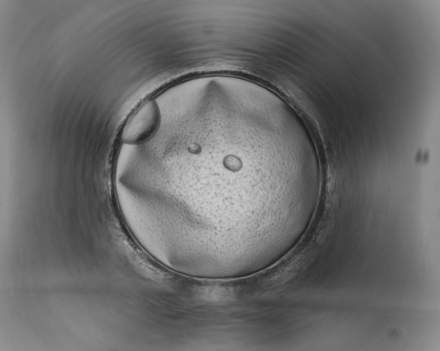 X0000113200789200910011254