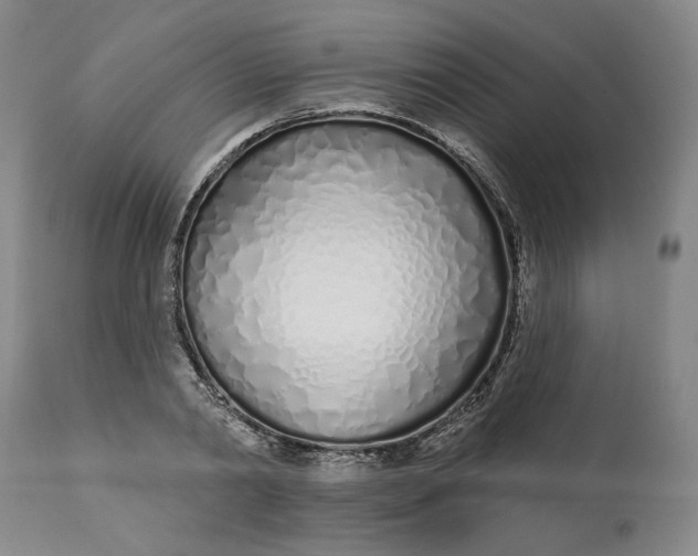 X0000113200790200910011254