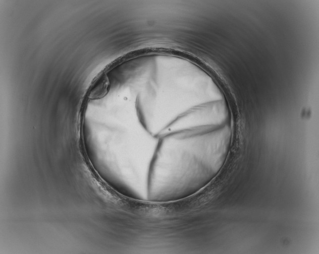 X0000113200791200910011254