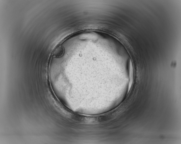 X0000113200794200910011254