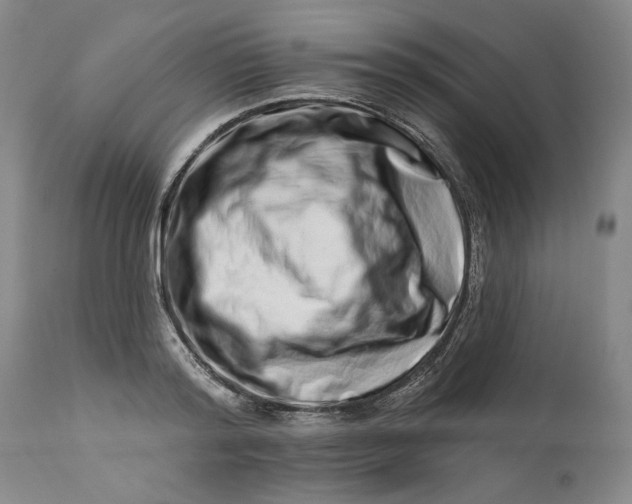 X0000113200796200910011254