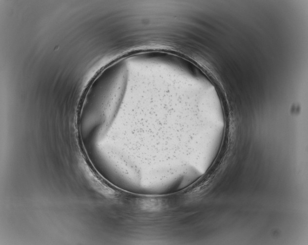 X0000113200797200910011254