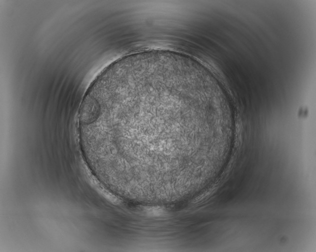 X0000113200798200910011254