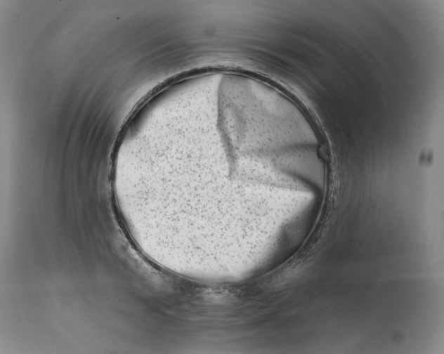 X0000113200799200910011254