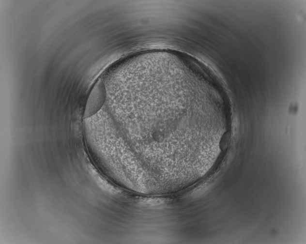 X0000113200801200910011254