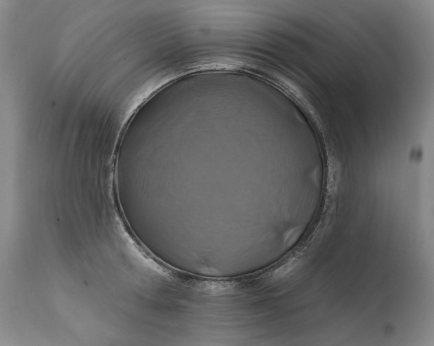 X0000113200802200910011254