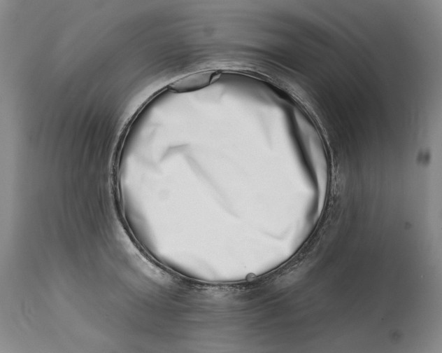 X0000113200803200910011254