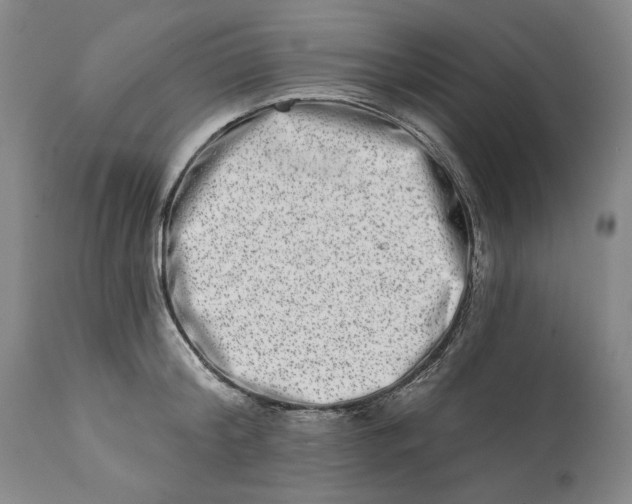 X0000113200804200910011254