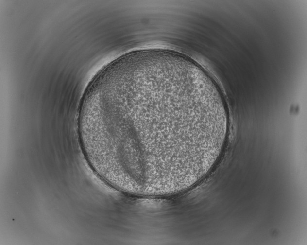 X0000113200805200910011254