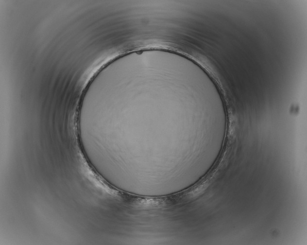 X0000113200806200910011254