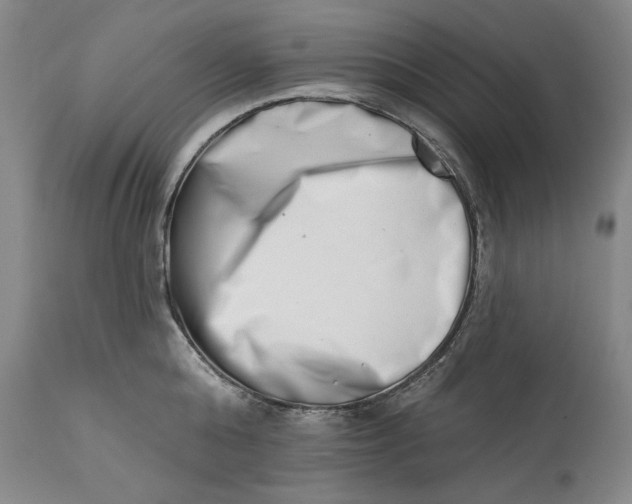 X0000113200808200910011254