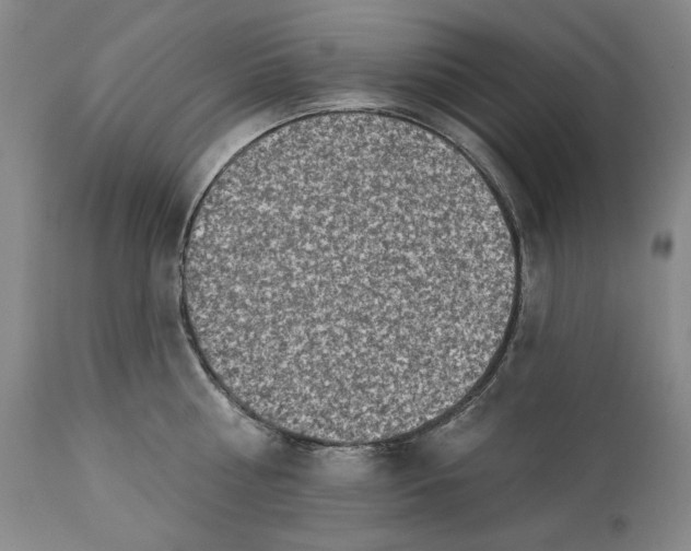 X0000113200810200910011254