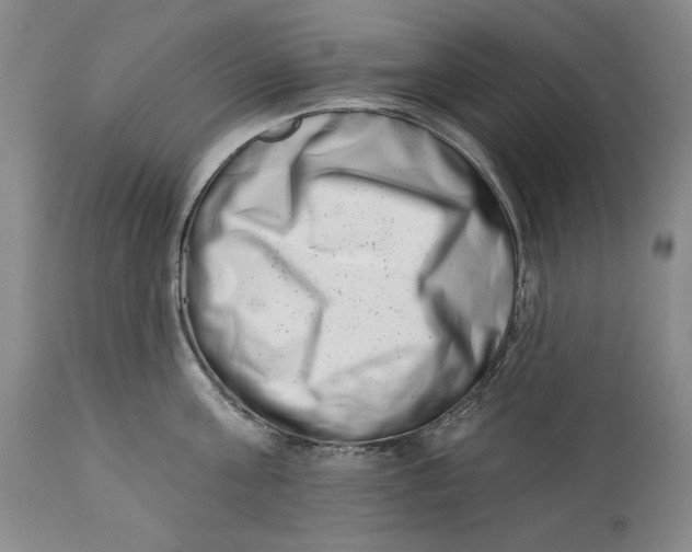 X0000113200811200910011254