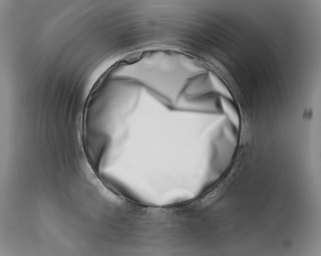 X0000113200812200910011254