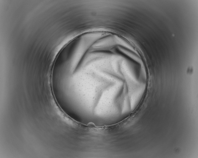 X0000113200813200910011254