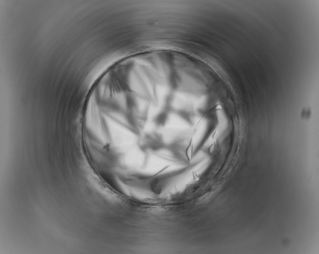 X0000113200814200910011254