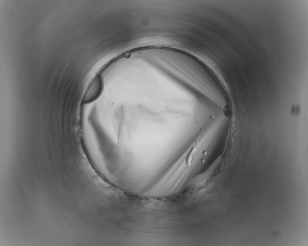 X0000113200815200910011254