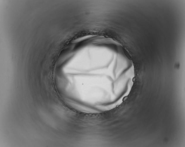 X0000113200817200910011253