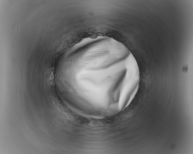 X0000113200818200910011253