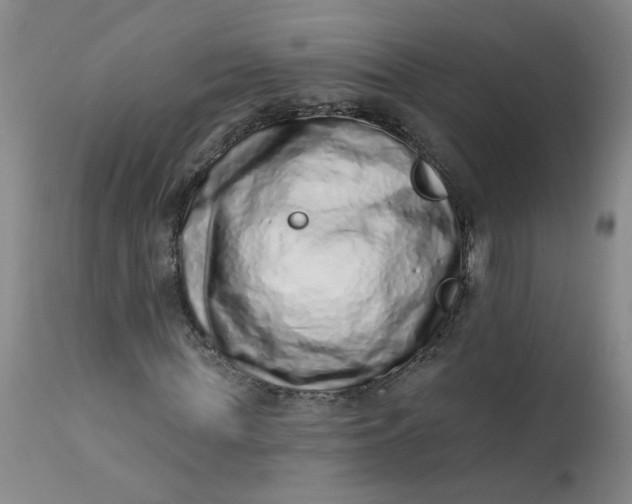 X0000113200819200910011253