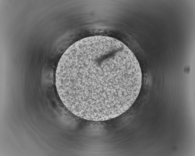 X0000113200820200910011253