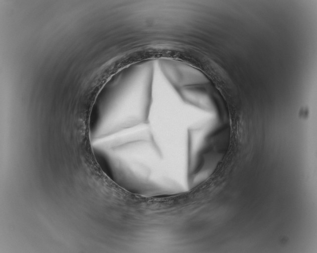 X0000113200821200910011253