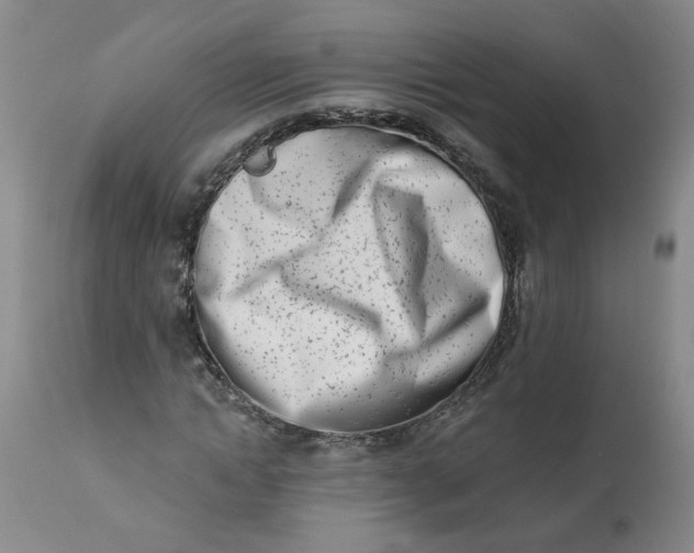 X0000113200822200910011253