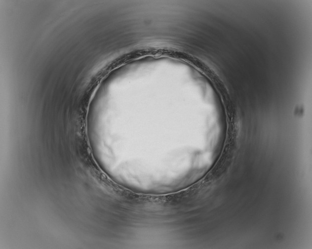 X0000113200823200910011254