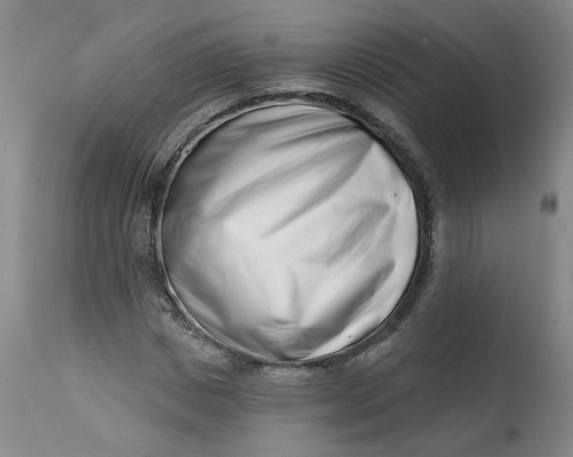 X0000113200825200910011254