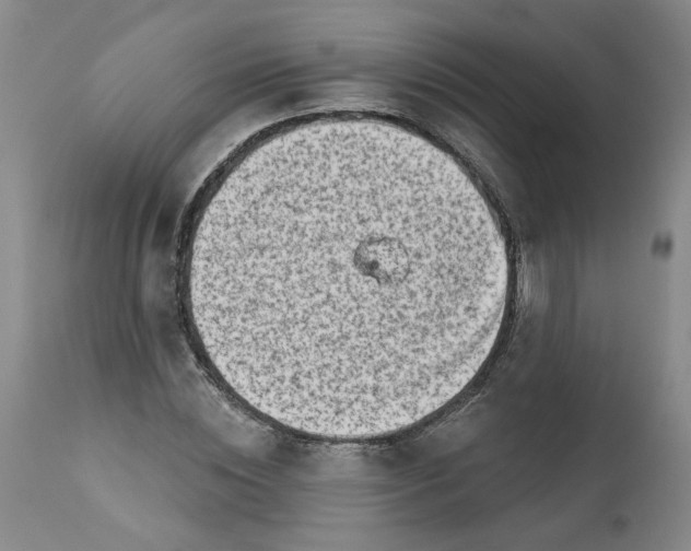 X0000113200828200910011254