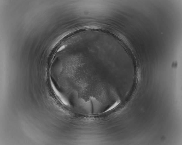 X0000113200829200910011254